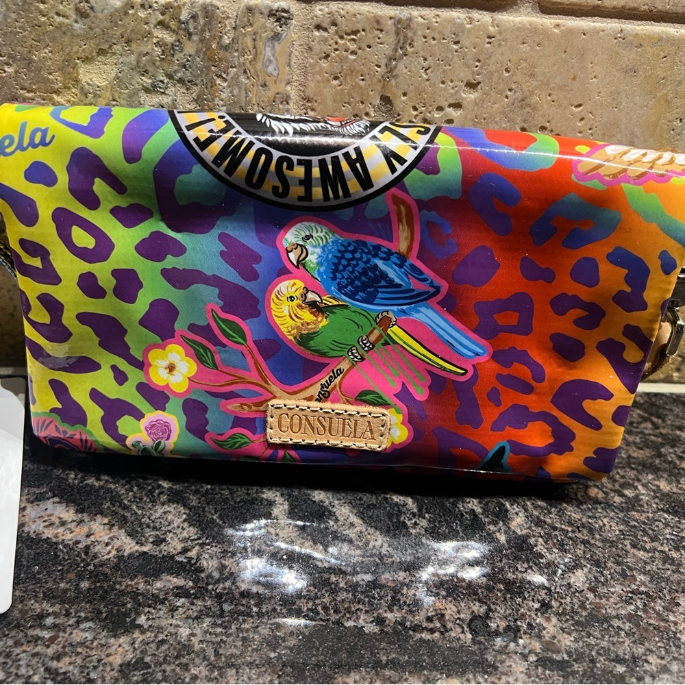 Consuela Cami Uptown Crossbody. Closet CLEANOUT